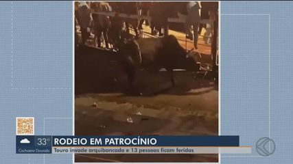 Público de rodeio fica ferido após touro invadir arquibancada