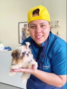 'Já veio cliente de outros estados', conta tosadora de cães que viralizou contando história de pets em MG