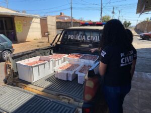 Mais de 200 kg de carne imprópria para consumo são apreendidos em açougue de Araxá