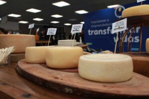 ExpoQueijo 2023: pela primeira vez, queijos serão avaliados com método desenvolvido por pesquisadores mineiros