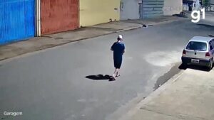 Cães morrem após homem jogar comida envenenada em ruas de MG; veja VÍDEO