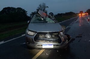 Motorista de caminhonete morre após bater de frente com carreta na BR-365