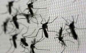Dengue: morte suspeita é investigada em Uberlândia