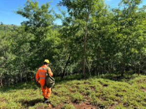 Após 48h desaparecido, idoso é encontrado caído em barranco ao sair para colher raízes medicinais em MG