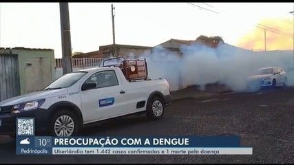 Dengue: casos aumentam e fumacê segue no combate ao mosquito em Uberlândia