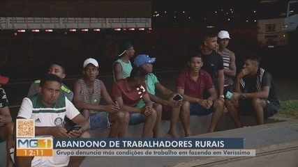Maranhenses denunciam más condições de trabalho em fazenda em Veríssimo