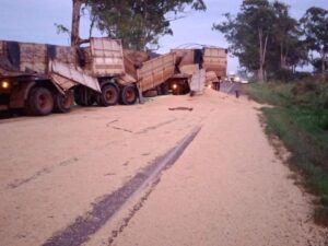 Caminhão de soja tomba na MGC-452, em Uberlândia, e motorista é preso por dirigir embriagado e sem CNH | Triângulo Mineiro