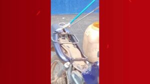 Cobra sai de lanchonete e é capturada dentro de motocicleta em Ituiutaba; veja vídeo | Triângulo Mineiro