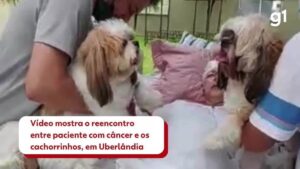 'Eles sentem saudades da mamãe': paciente com câncer recebe visita dos cachorros e emociona família e médicos; VEJA VÍDEO | Triângulo Mineiro