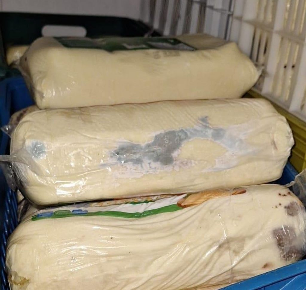 Embolorado e vencido: cerca 20 toneladas de queijos sem origem comprovada são apreendidas em MG | Triângulo Mineiro