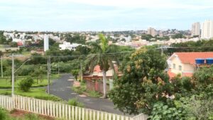 Entenda como vai funcionar o desconto no IPTU para quem tem árvores nas calçadas em Uberaba | Triângulo Mineiro