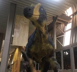 Escultura em tamanho real de Megaraptor é exibida no Museu dos Dinossauros, em Uberaba