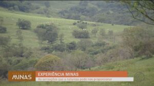 'Experiência Minas': sensações proporcionadas pela conexão com a natureza mineira; turismo rural | Triângulo Mineiro