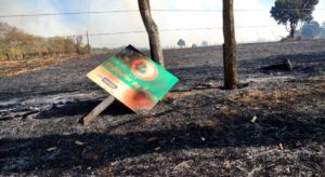 Incêndio atinge área equivalente a 140 campos de futebol na região do Pau Furado em Uberlândia | Triângulo Mineiro
