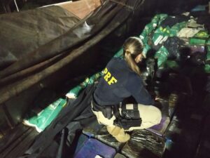 Mais de 3 toneladas de maconha são apreendidas na BR-262, em Araxá; casal que transportava a droga é detido