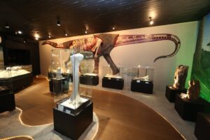 Museu dos Dinossauros em Uberaba amplia funcionamento durante fim do ano e férias; veja horários | Triângulo Mineiro