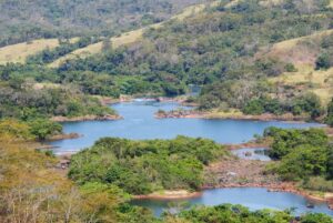 Parque Estadual do Pau Furado é reaberto com nova trilha para visitantes em Uberlândia | Triângulo Mineiro