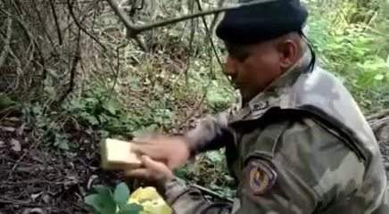Cadela Raja localiza drogas escondidas em matagal