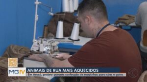 Reeducandos da Apac de Araxá produzem roupinhas para aquecer cães e gatos de rua | Triângulo Mineiro