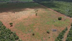 Satélite descobre área de desmatamento ilegal equivalente a 366 campos de futebol em MG; veja antes e depois | Triângulo Mineiro