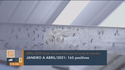 Cresce procura por atendimentos de casos suspeitos de dengue em Uberaba