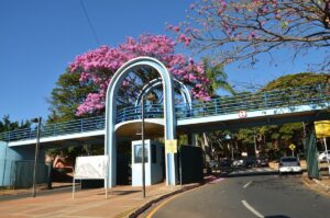 UFU conquista repasse de R$ 10 milhões para implantar Parque Tecnológico em Uberlândia | Triângulo Mineiro