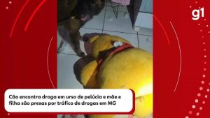 VÍDEO: Cão farejador encontra droga em urso de pelúcia e mãe e filha são presas por tráfico em MG | Triângulo Mineiro