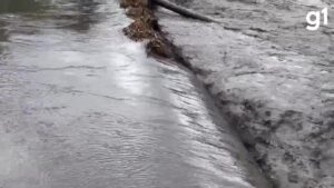 VÍDEO: Cor do Rio Uberabinha assusta moradores de Uberlândia após chuva; entenda o que houve | Triângulo Mineiro