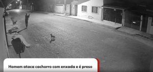 VÍDEO: Homem ataca cachorro com enxada e é preso em MG | Triângulo Mineiro