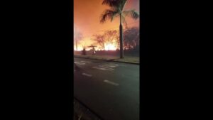 VÍDEO: Incêndio atinge área de vegetação entre os bairros Tocantins e Taiaman em Uberlândia | Triângulo Mineiro