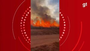 VÍDEO: Incêndio em pasto de fazenda destrói área equivalente a 15 campos de futebol em Patos de Minas