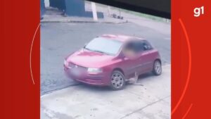 VÍDEO: motorista passa com carro por cima de cachorro em estacionamento em Araxá | Triângulo Mineiro